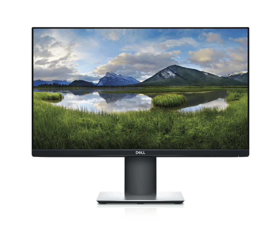 DELL Professional P2319H 23-Inch Borderless IPS Monitor