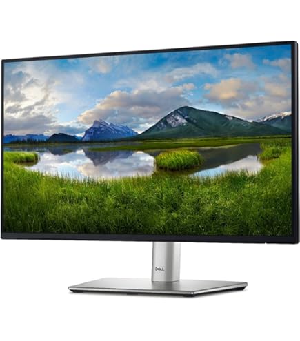 Dell Pro 24" Video Conferencing Monitor (P2424HEB)